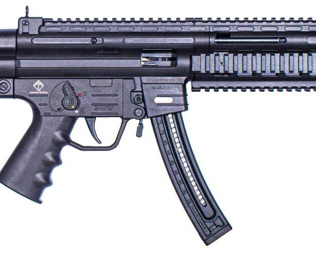 American Tactical AR-22 .22LR