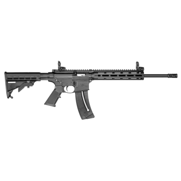 M&P 15-22 .22LR (AR-15 chambered in 22.LR, or an AR-22 variant)