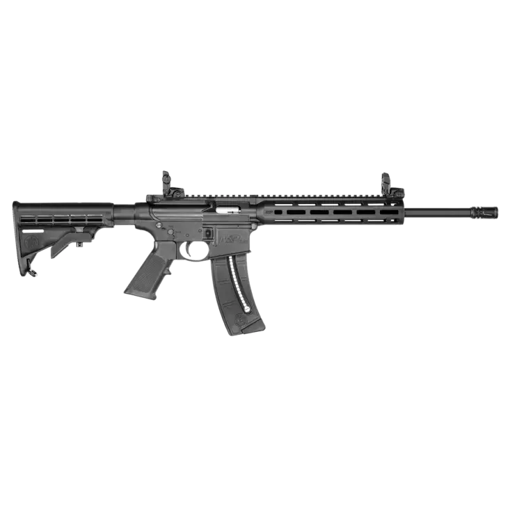 M&P 15-22 .22LR (AR-15 chambered in 22.LR, or an AR-22 variant)